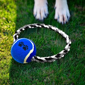 PELOTA CON CUERDA CIRCULAR PARA MASCOTA LH-3346