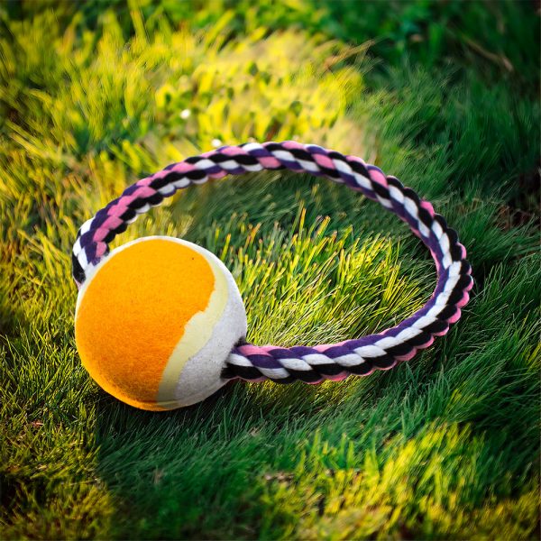 PELOTA CON CUERDA CIRCULAR PARA MASCOTA LH-3346 - Imagen 3