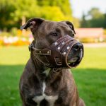 BOZAL 29CM DE CUERO PARA PERRO LH-1569