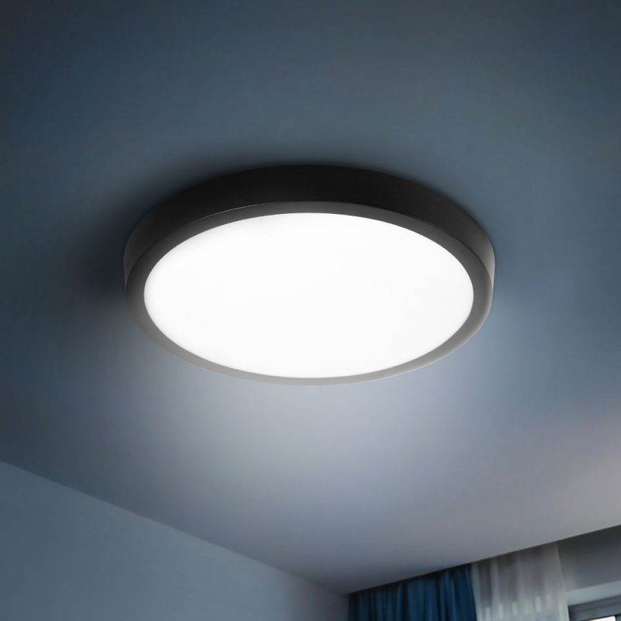 7256_0-900x900 PLAFON LED REDONDO BORDENEGRO 12WLUZFRIA LH4401 - Imagen 1