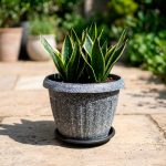 MACETERO PLASTICO C/PLATO 250X190CM D2004P-