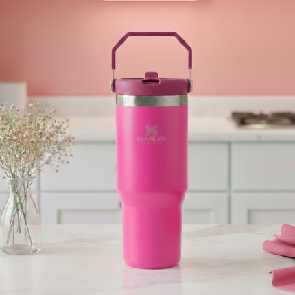 VASO STANLEY FLIP STRAW TUMBLER 20 OZ PEONY