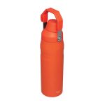 BOTELLA STANLEY AEROLIGHT ICEFLOW 24 OZ TIGERLILY - Imagen 6