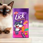 ALIMENTO GATOS DR ZOO LICKS SALMON