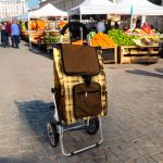 CARRITO PARA FERIA DE LONA REFORZADO LH-1885
