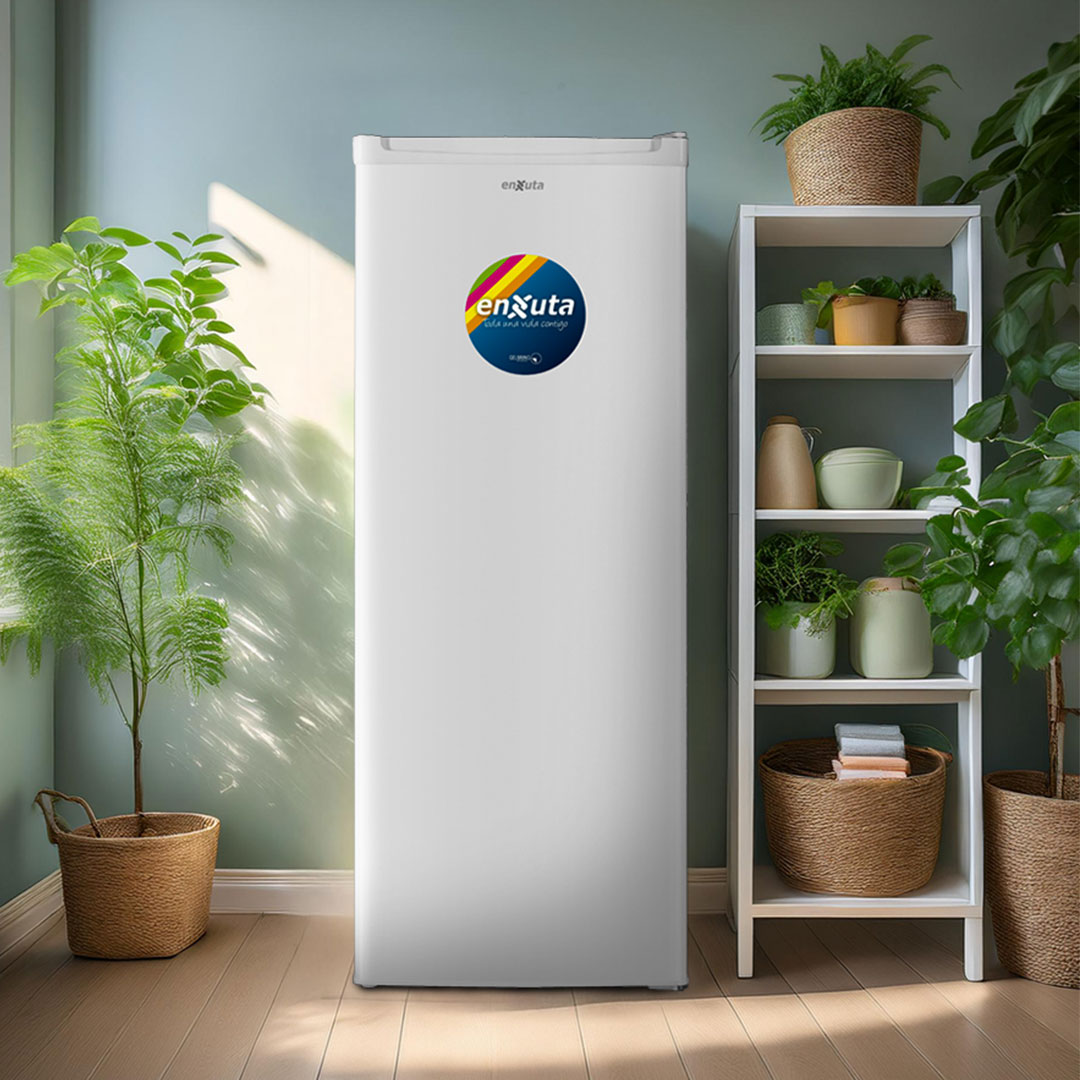 6535_0 FREEZER VERTICAL ENXUTA 168 LTS FVENX22168 - Imagen 1