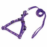 PRETAL CON CORREA 1.5 CM PARA PERRO LH-582 - Imagen 23