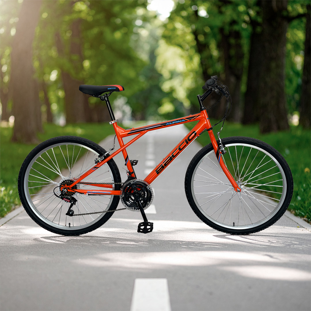 9354 BICICLETA BACCIO ALPINA MAN 26 - Imagen 1