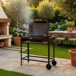 PARRILLA A LEÑA TROMEN CHULENGO