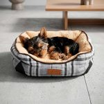 CAMA ACOLCHONADA P/MASCOTA 43X36X12 LH-5163
