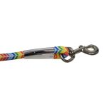 CORREA 1.2MTS P/MASCOTA C/MOSQUETON LH-5197 - Imagen 4