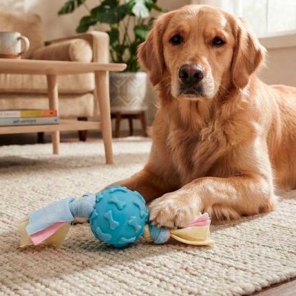 PELOTA MORDEDORA DE GOMA PARA MASCOTA LH-5137