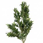PLANTA DE LAUREL CEREZO ARTIFICIAL 1.8M LH-5783 - Imagen 3